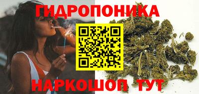сатива Ирбит