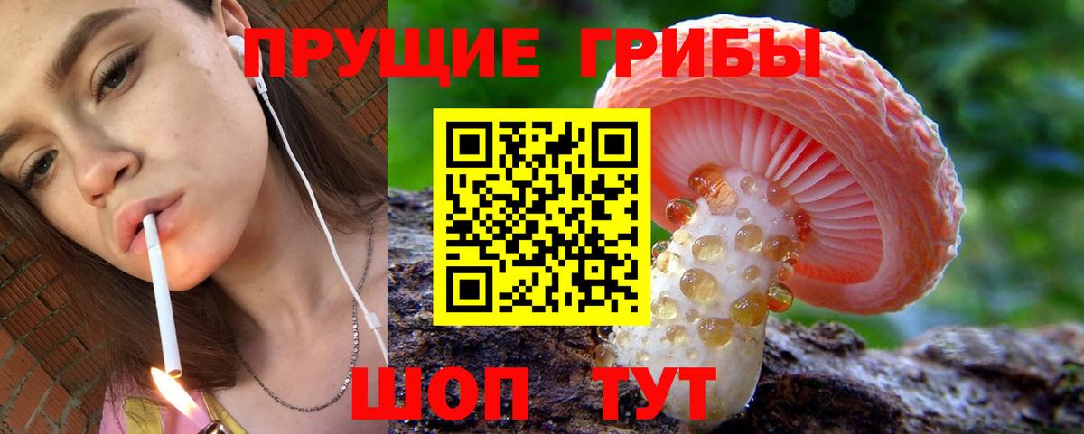 наркотики  Вход с VPN  Кимры  Галлюциногенные грибы Psilocybine cubensis  Псилоцибиновые грибы ЛСД 