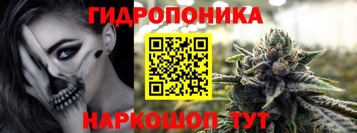Конопля гибрид  Вход с VPN  Кимры  Шишки марихуана тримм  МАРИХУАНА Bruce Banner 